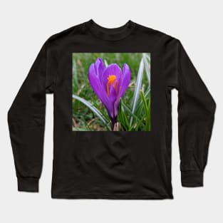 Purple and Orange Flower in Grass Long Sleeve T-Shirt